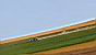 zwickau_2011_35.jpg